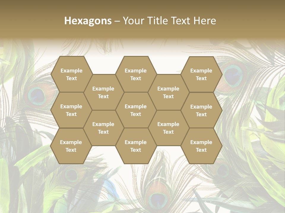 Peacock Feather Clip Art PowerPoint Template