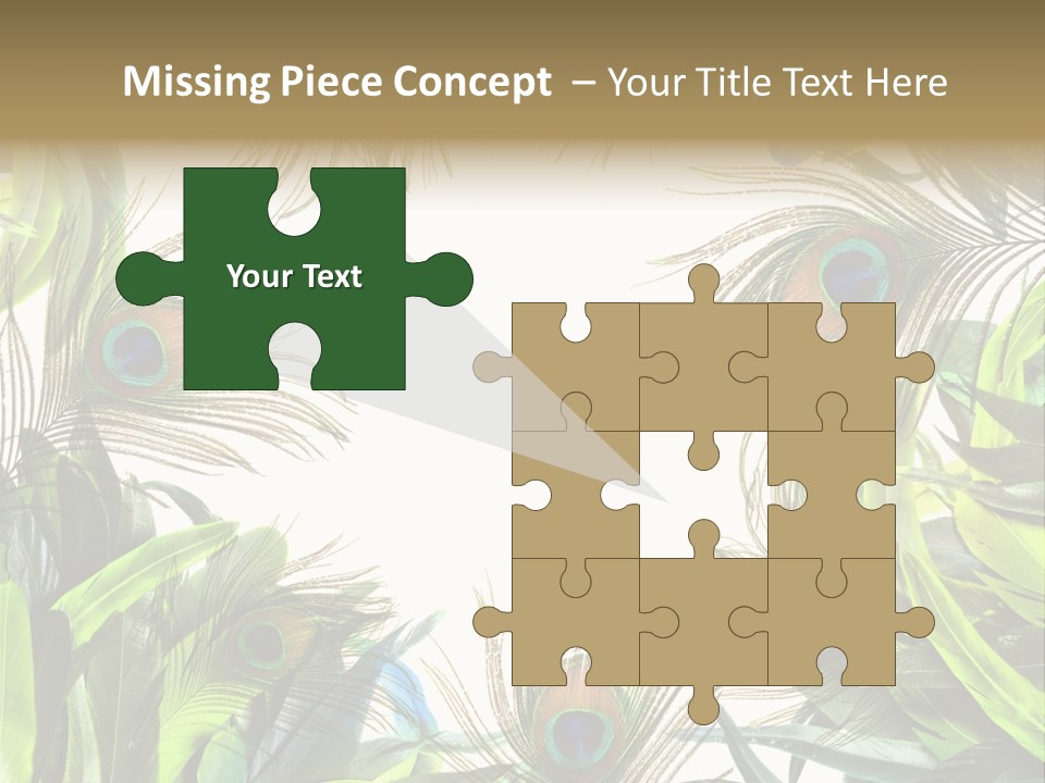 Peacock Feather Clip Art PowerPoint Template