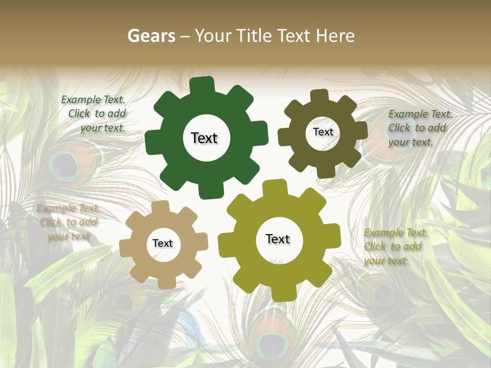 Peacock Feather Clip Art PowerPoint Template