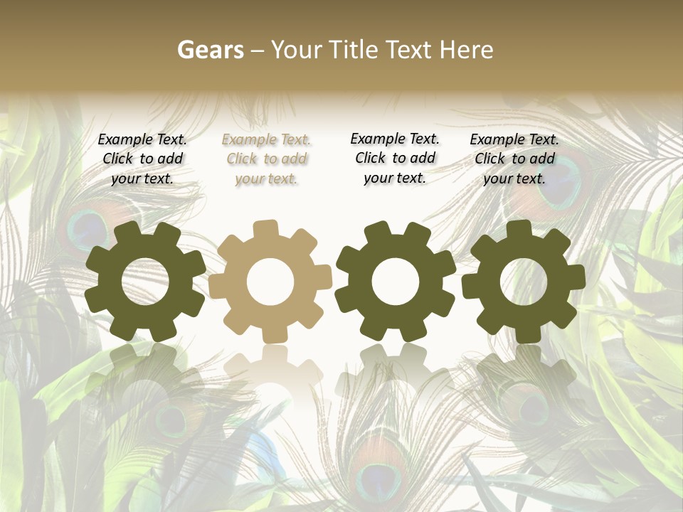 Peacock Feather Clip Art PowerPoint Template