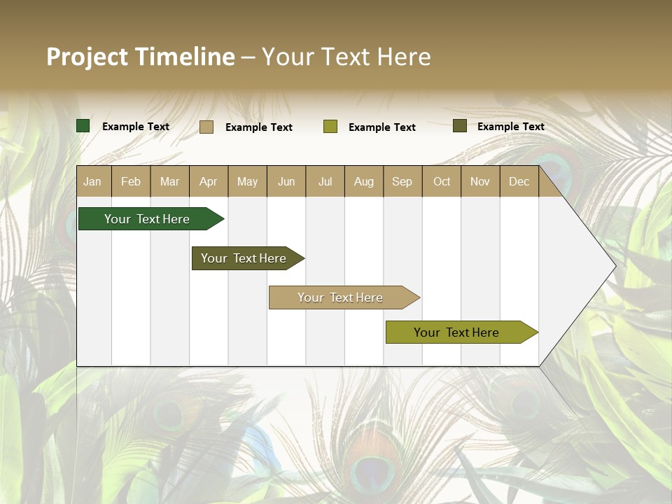 Peacock Feather Clip Art PowerPoint Template