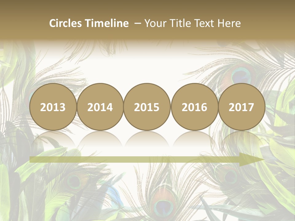 Peacock Feather Clip Art PowerPoint Template