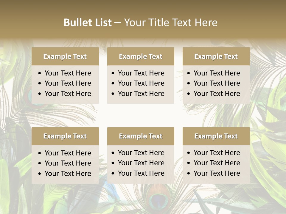 Peacock Feather Clip Art PowerPoint Template