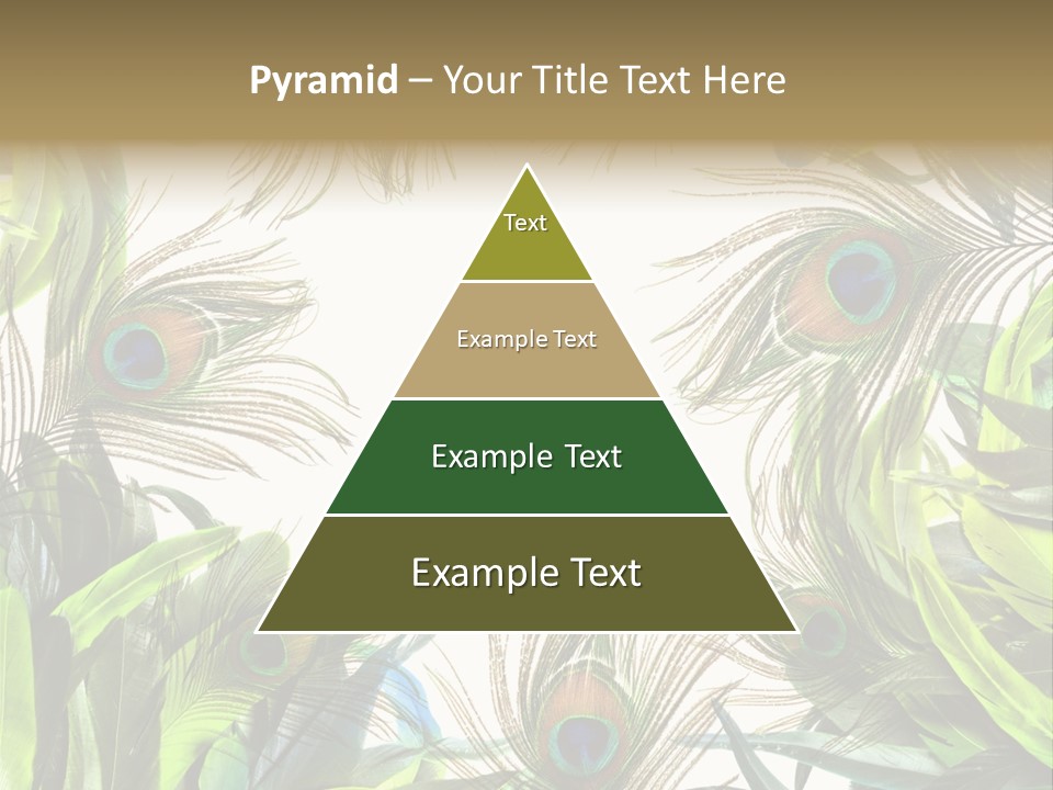 Peacock Feather Clip Art PowerPoint Template