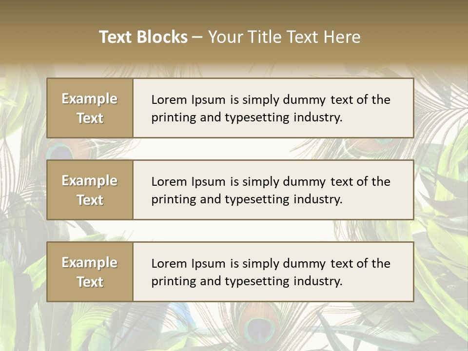 Peacock Feather Clip Art PowerPoint Template