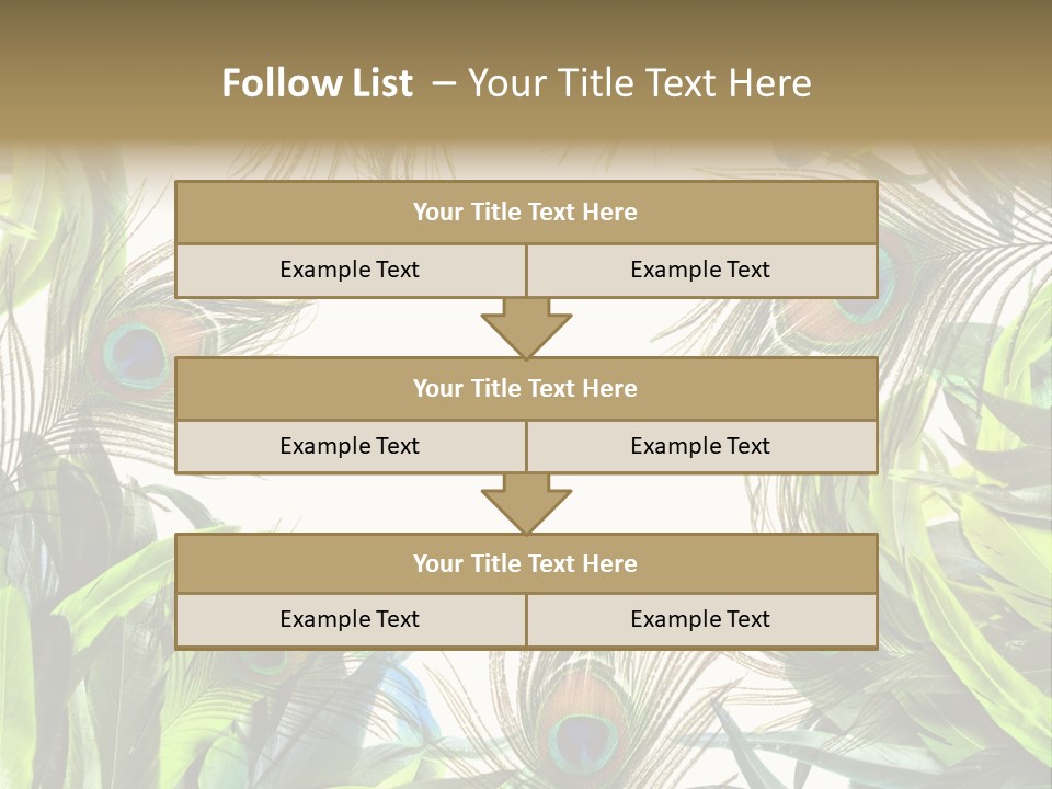 Peacock Feather Clip Art PowerPoint Template