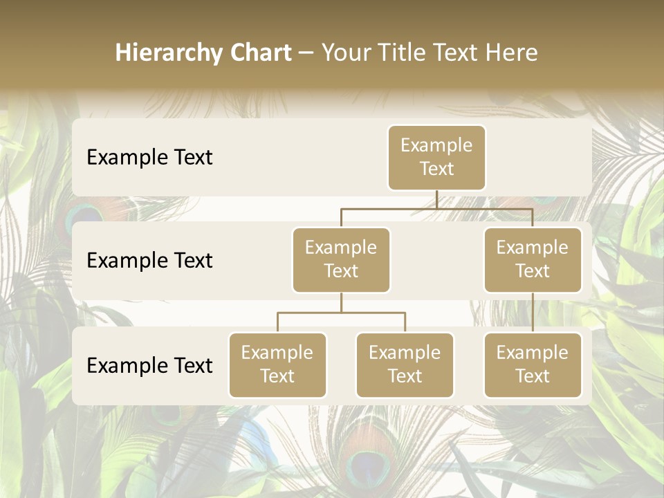 Peacock Feather Clip Art PowerPoint Template