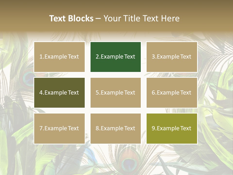 Peacock Feather Clip Art PowerPoint Template