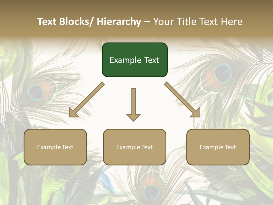 Peacock Feather Clip Art PowerPoint Template