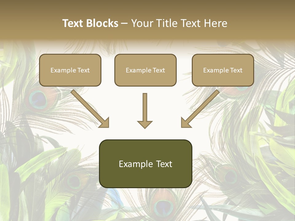 Peacock Feather Clip Art PowerPoint Template