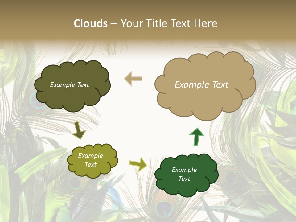Peacock Feather Clip Art PowerPoint Template