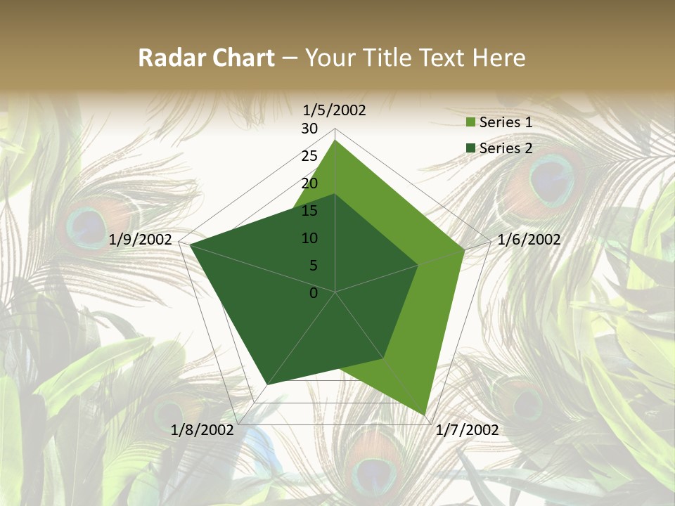 Peacock Feather Clip Art PowerPoint Template