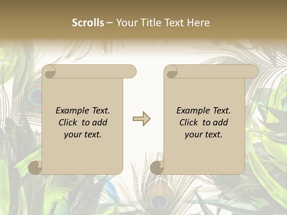 Peacock Feather Clip Art PowerPoint Template