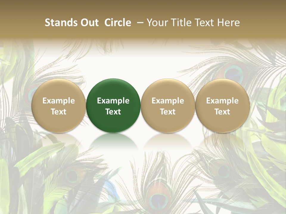 Peacock Feather Clip Art PowerPoint Template