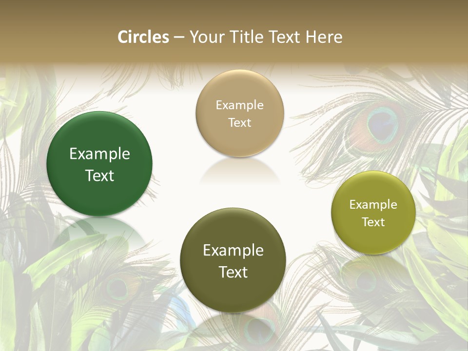 Peacock Feather Clip Art PowerPoint Template