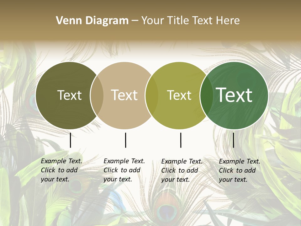 Peacock Feather Clip Art PowerPoint Template