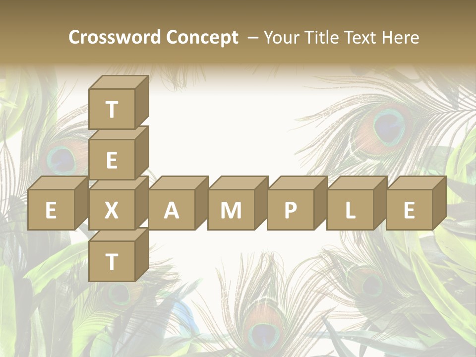 Peacock Feather Clip Art PowerPoint Template