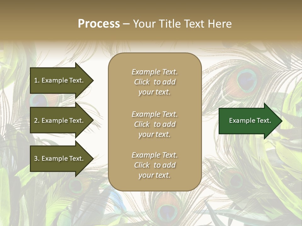 Peacock Feather Clip Art PowerPoint Template