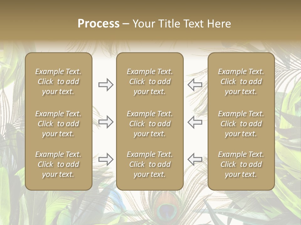 Peacock Feather Clip Art PowerPoint Template