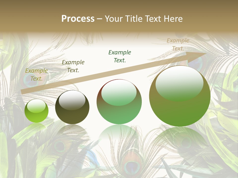 Peacock Feather Clip Art PowerPoint Template