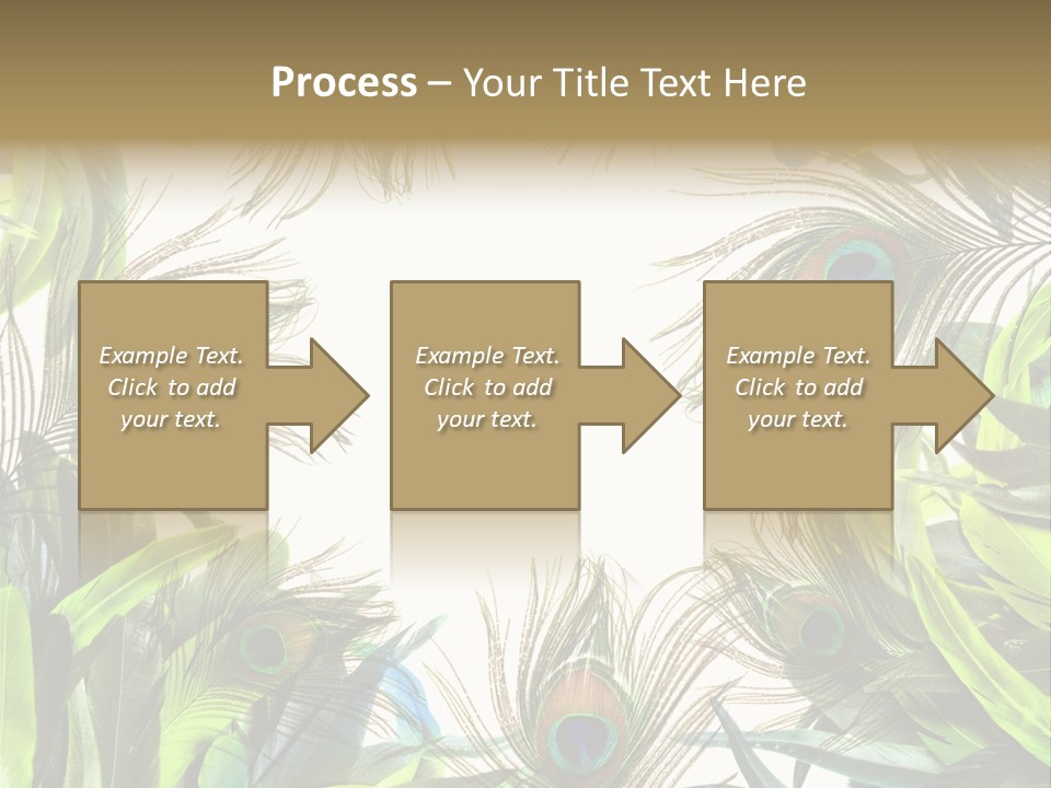 Peacock Feather Clip Art PowerPoint Template