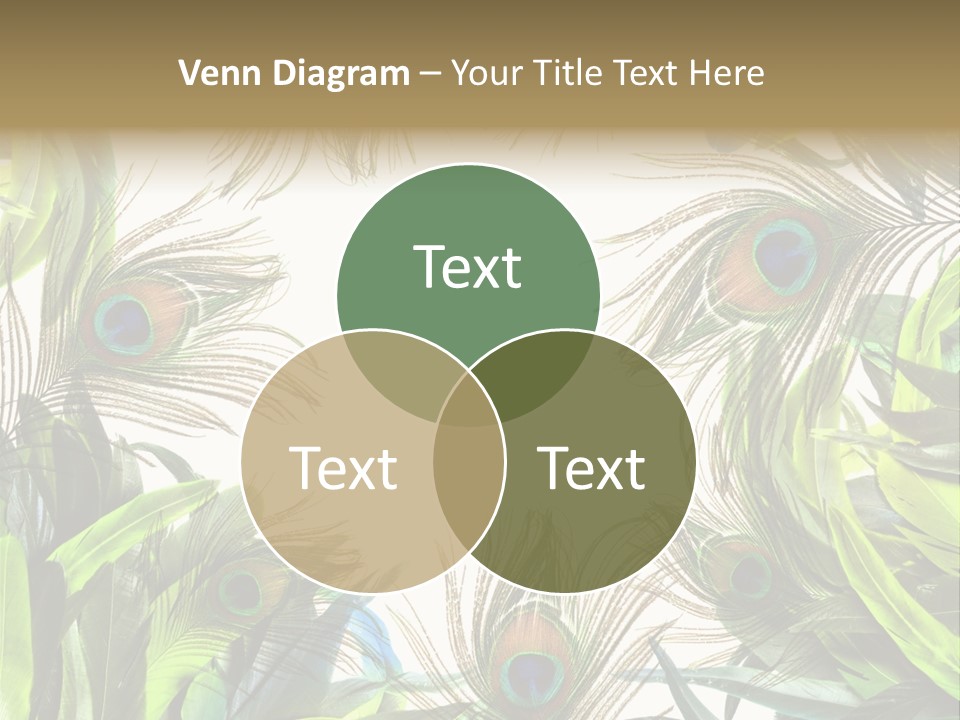 Peacock Feather Clip Art PowerPoint Template