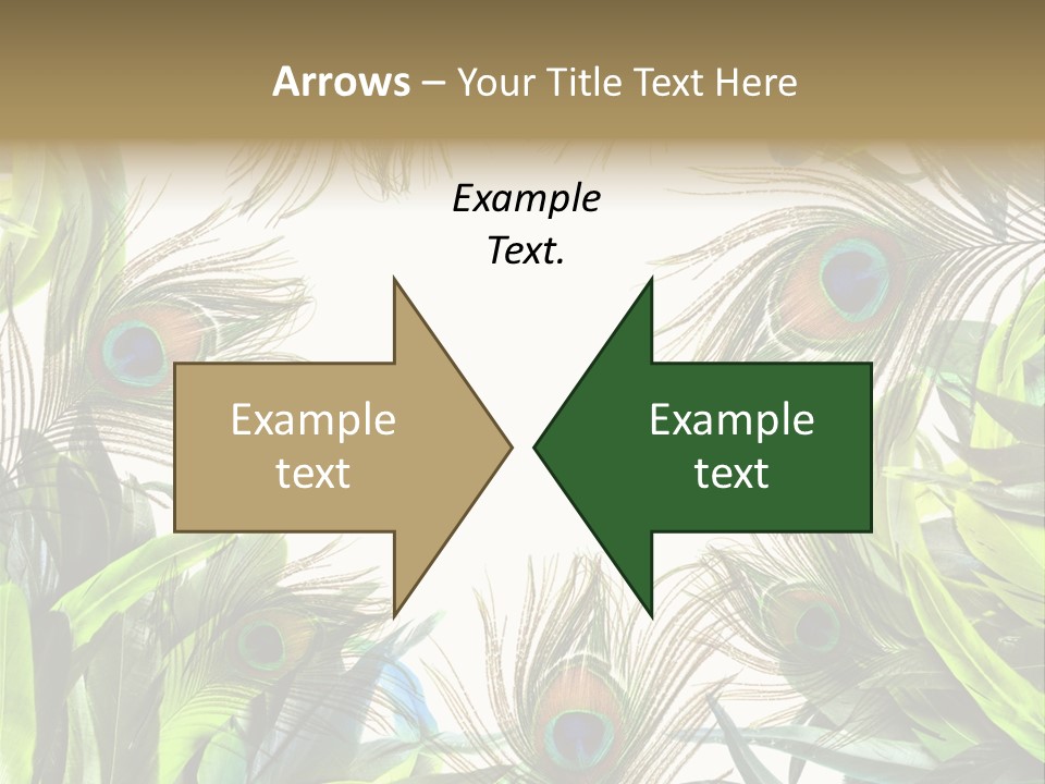 Peacock Feather Clip Art PowerPoint Template