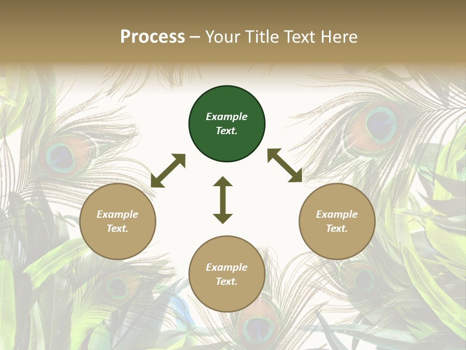 Peacock Feather Clip Art PowerPoint Template