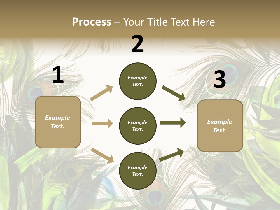 Peacock Feather Clip Art PowerPoint Template