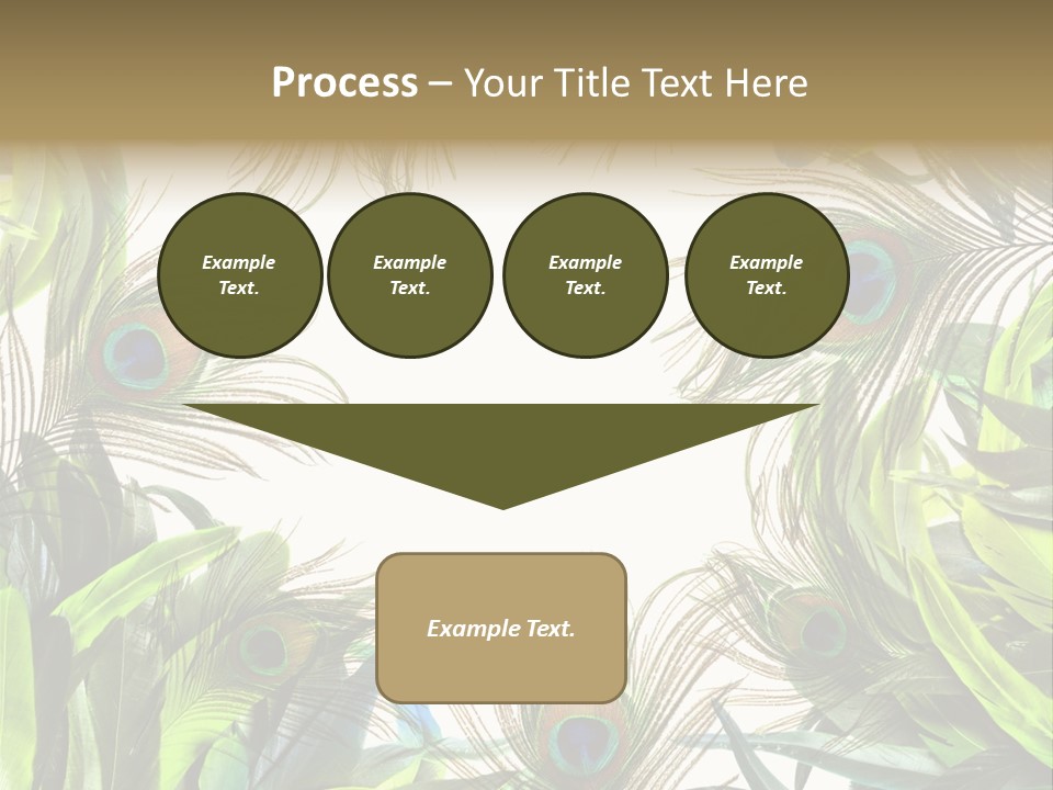 Peacock Feather Clip Art PowerPoint Template