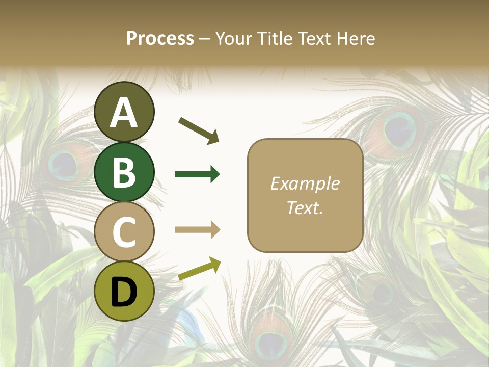 Peacock Feather Clip Art PowerPoint Template