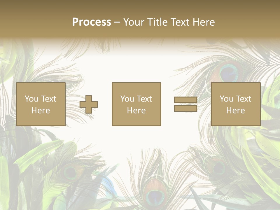 Peacock Feather Clip Art PowerPoint Template