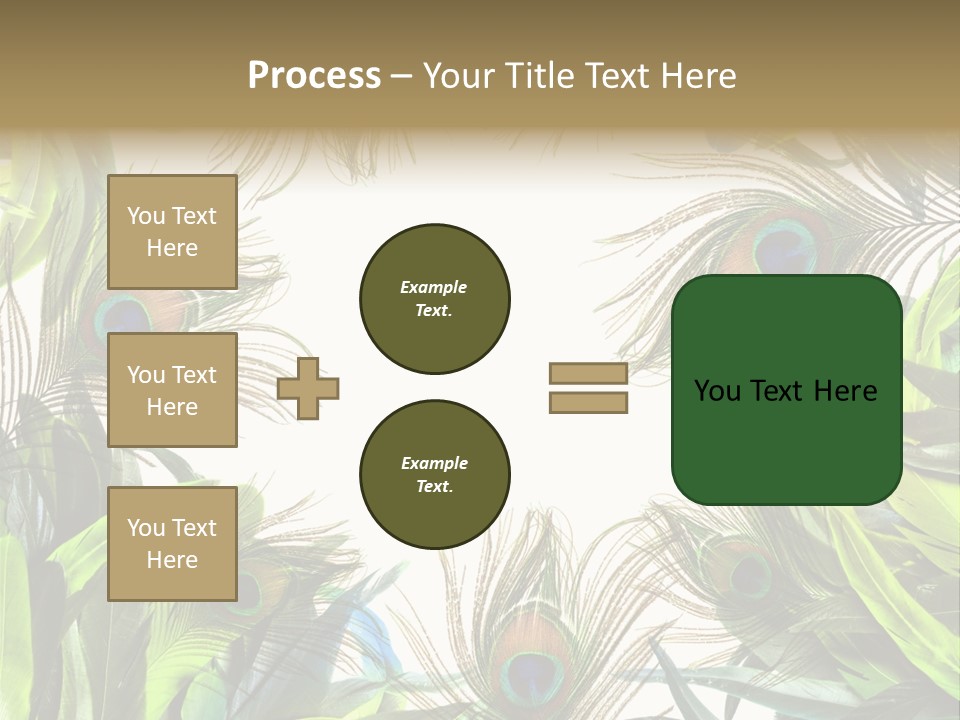 Peacock Feather Clip Art PowerPoint Template
