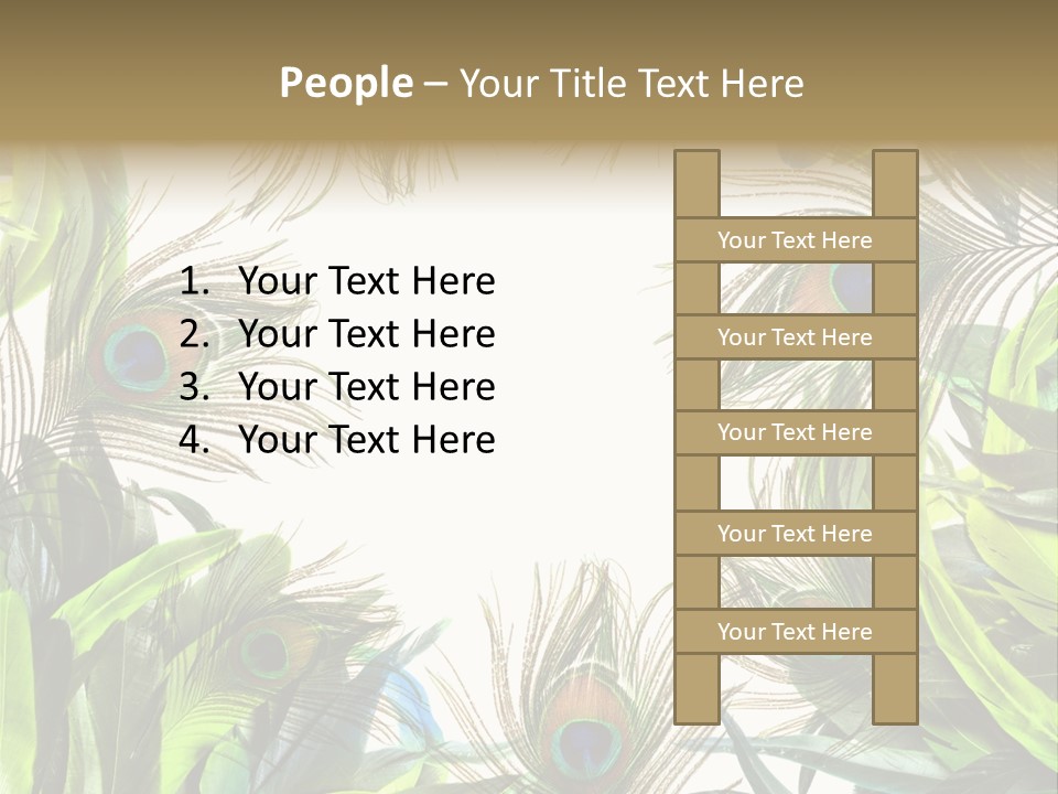 Peacock Feather Clip Art PowerPoint Template