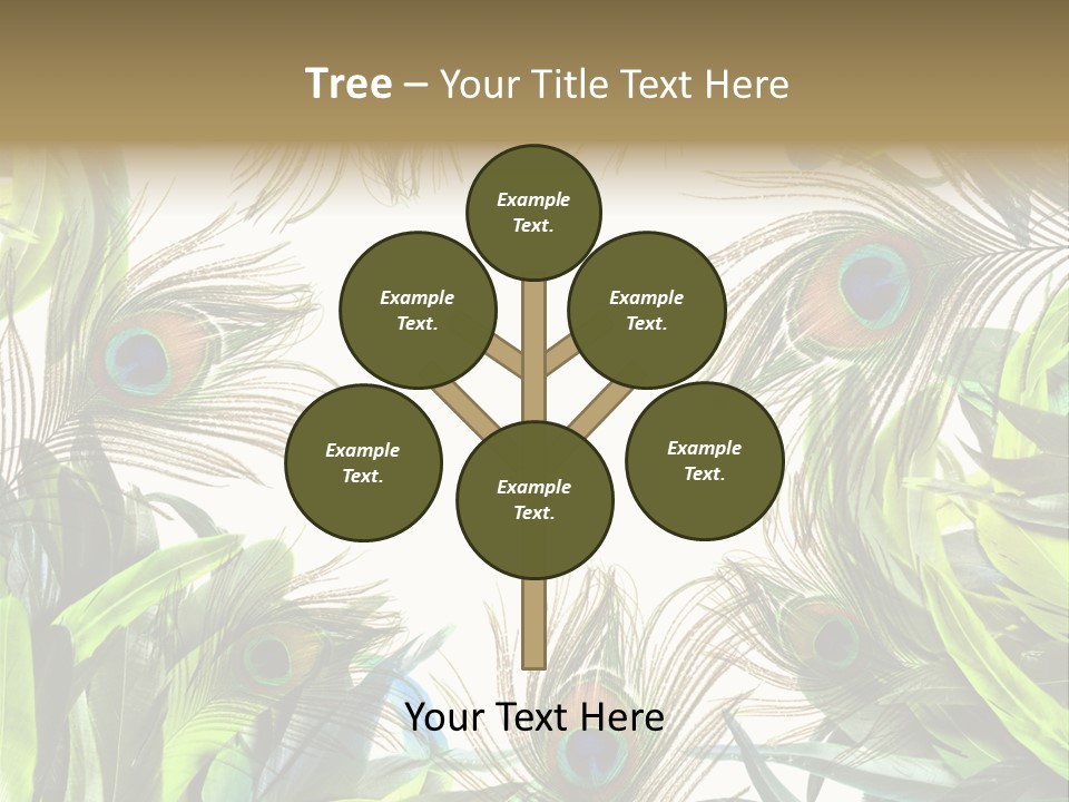 Peacock Feather Clip Art PowerPoint Template