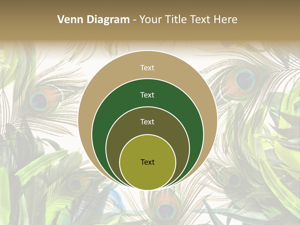 Peacock Feather Clip Art PowerPoint Template