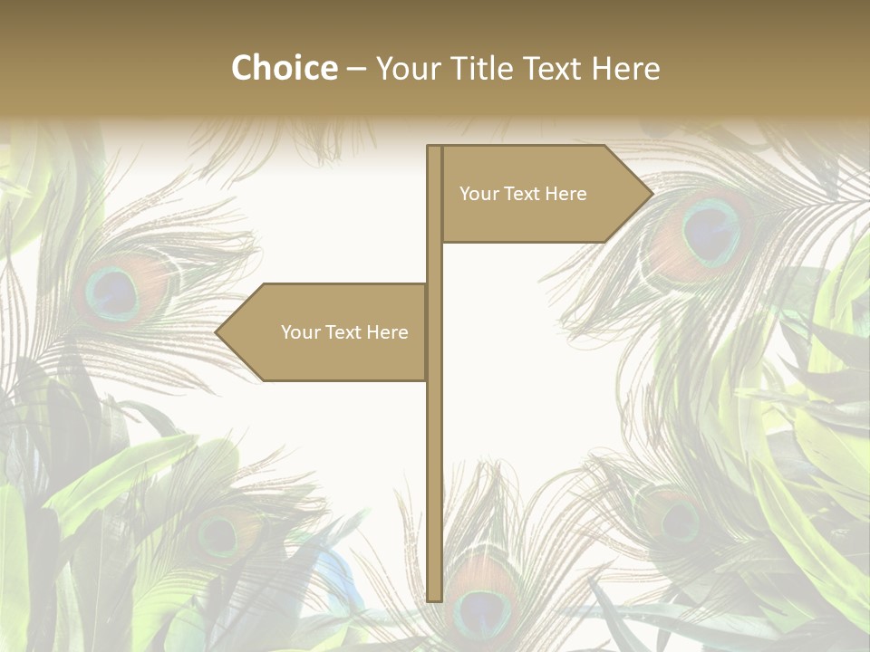 Peacock Feather Clip Art PowerPoint Template