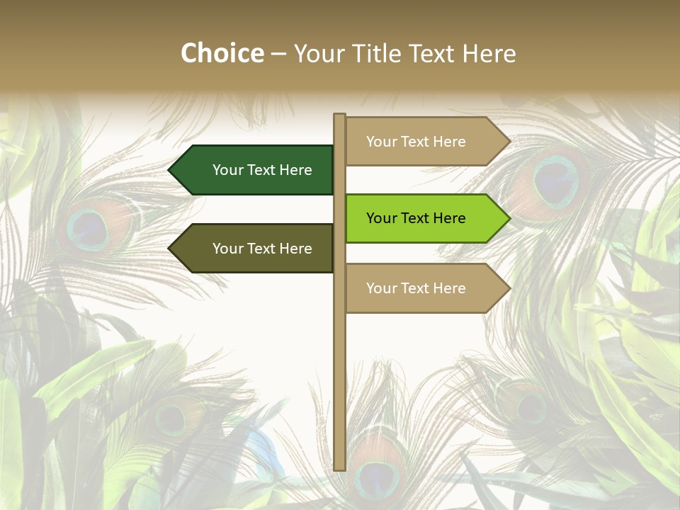 Peacock Feather Clip Art PowerPoint Template