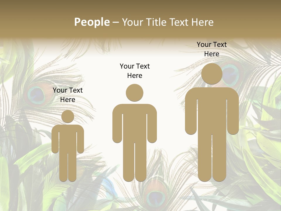 Peacock Feather Clip Art PowerPoint Template