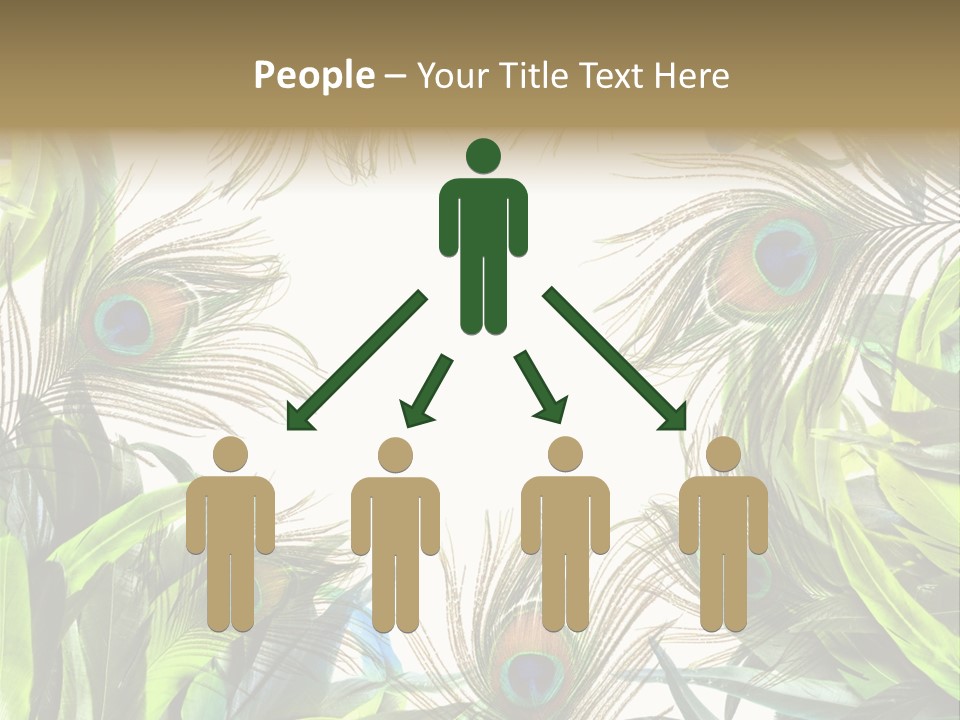 Peacock Feather Clip Art PowerPoint Template