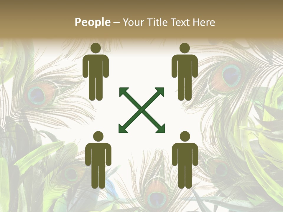 Peacock Feather Clip Art PowerPoint Template