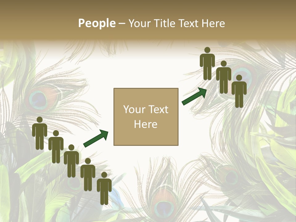 Peacock Feather Clip Art PowerPoint Template