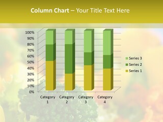 Healthy Meal Appetizer PowerPoint Template