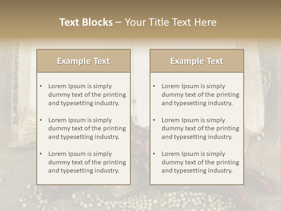 Medieval Books PowerPoint Template