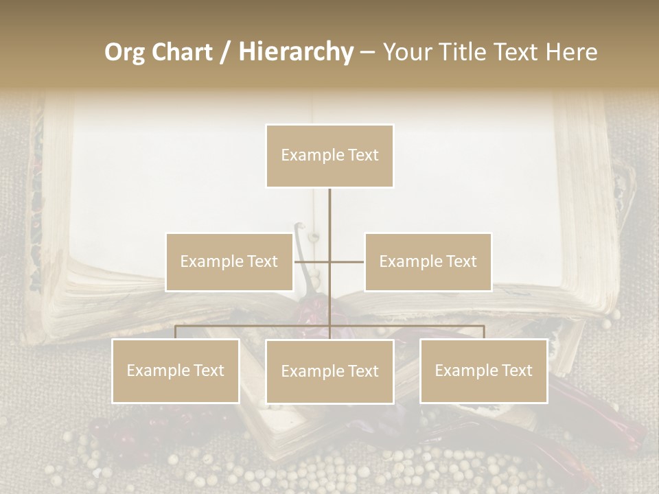 Medieval Books PowerPoint Template