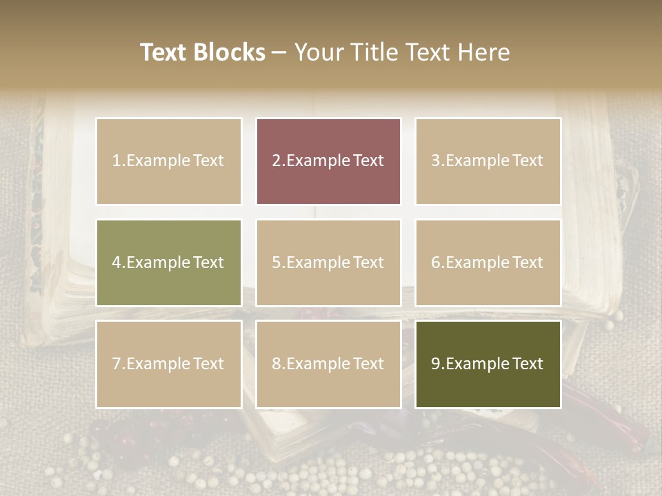 Medieval Books PowerPoint Template