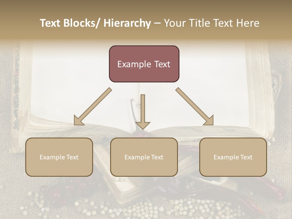 Medieval Books PowerPoint Template