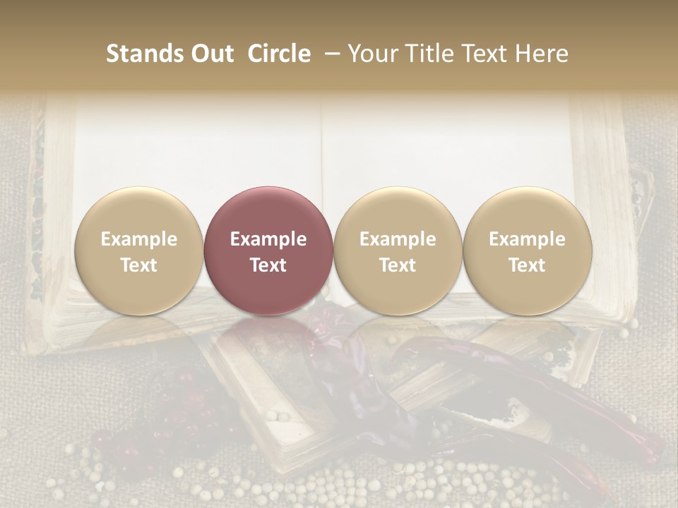 Medieval Books PowerPoint Template