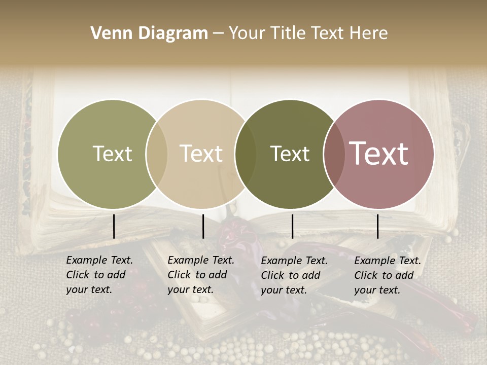 Medieval Books PowerPoint Template