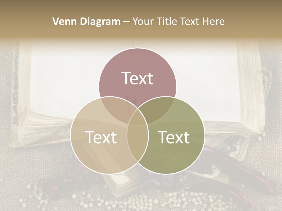 Medieval Books PowerPoint Template